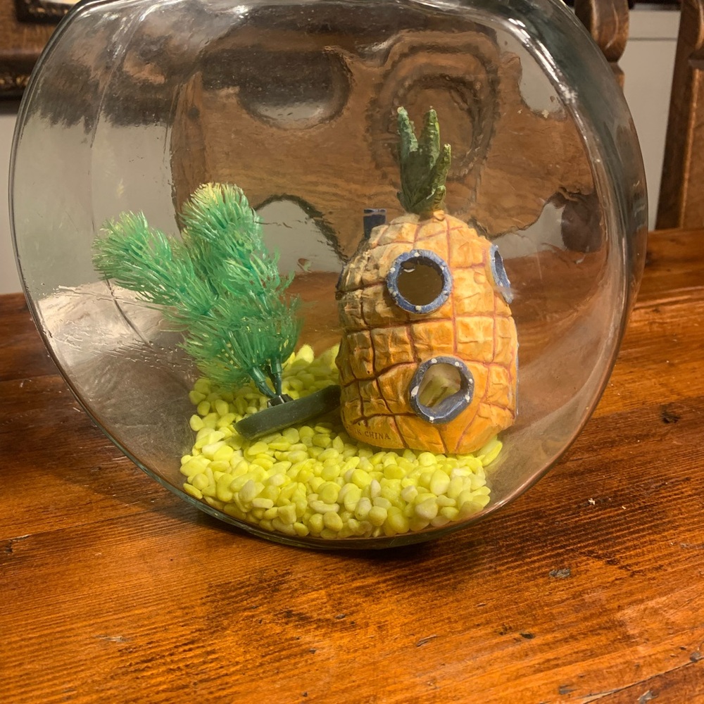 Pineapple Aquarium Decoration with Green Plant